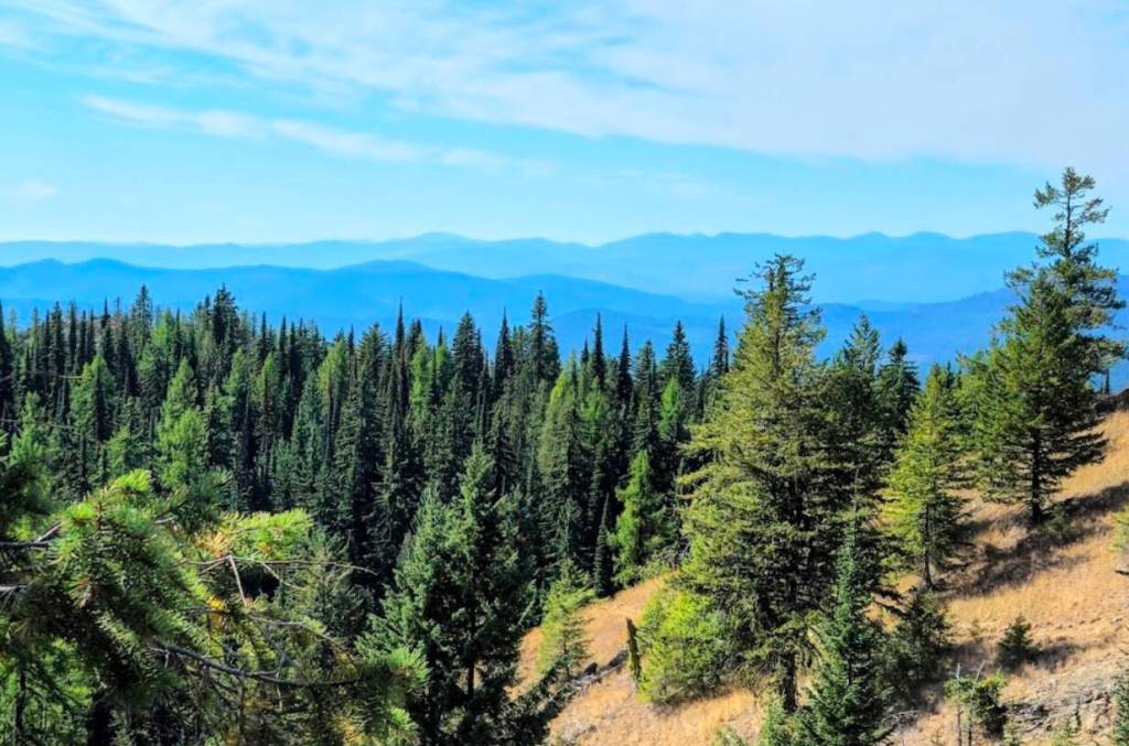 Record Ridge is located approximately seven kilometers southwest of Rossland, a recognized BC Resort Municipality with an economy strongly dependent on outdoor recreation and tourism. (Submitted)